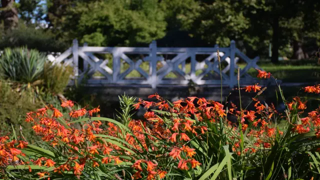 Parc Beaumont Pau