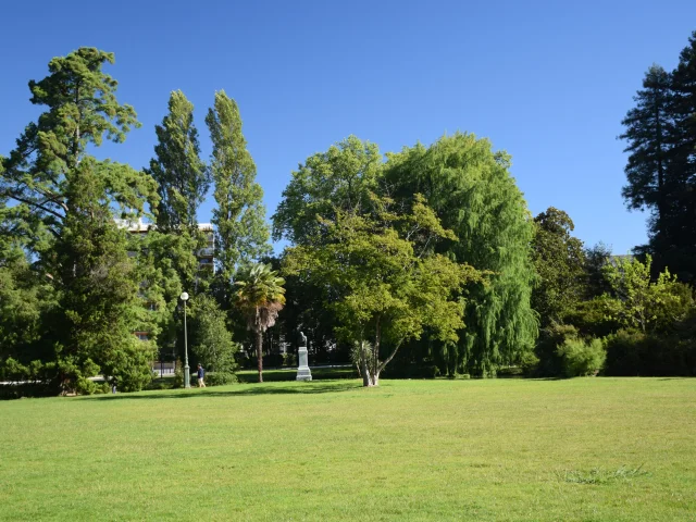 Parque Beaumont Dsc 0185