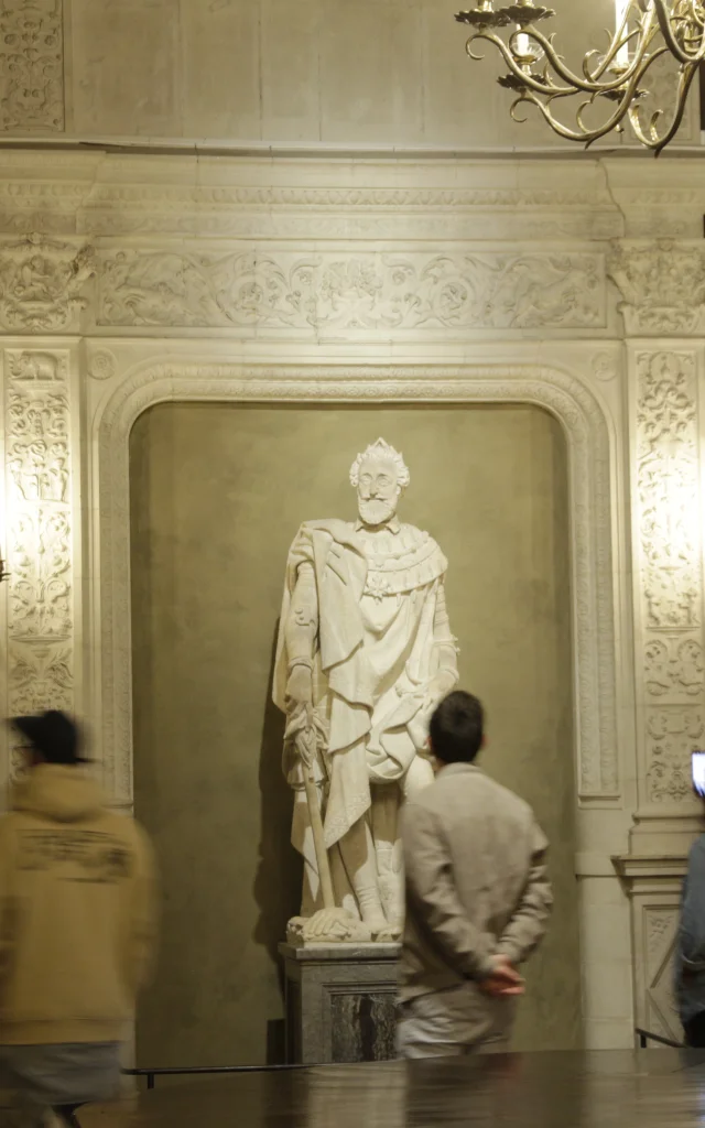 Château de Pau - Henri IV