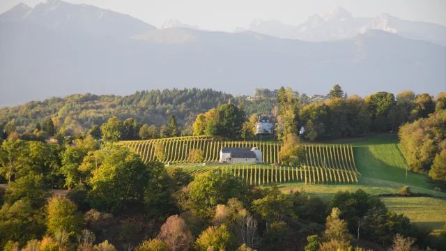 Laderas de Jurançon