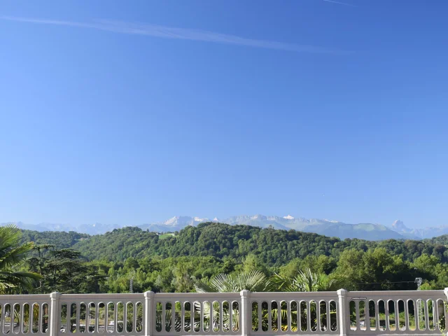 Los Pirineos Desde Pau 03 1