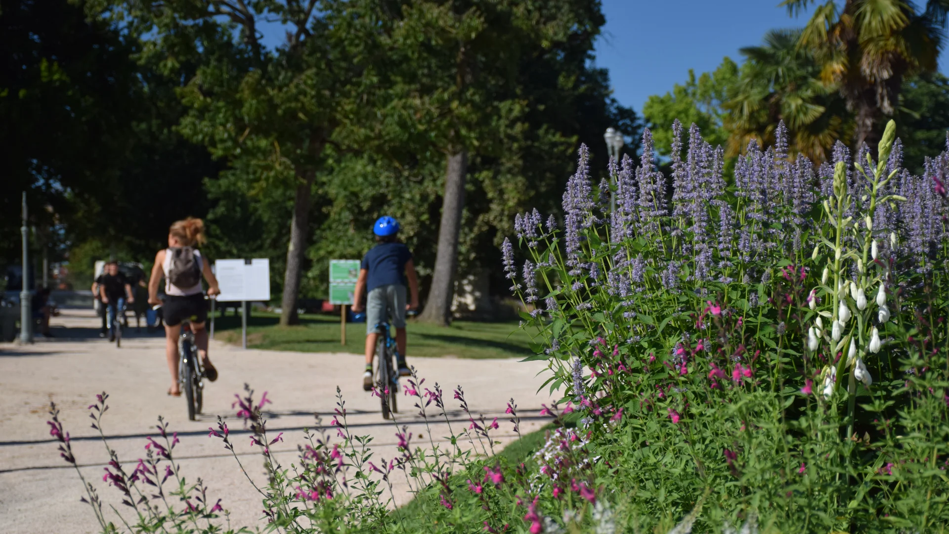 Cycling in Pau's Parc Beaumont