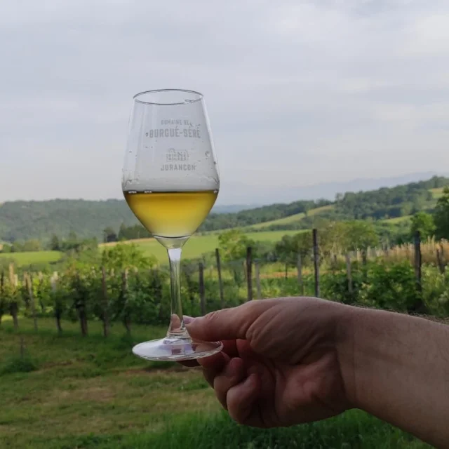 Verredejurancon Domaineburgueserre Pau Pyrenees Tourisme