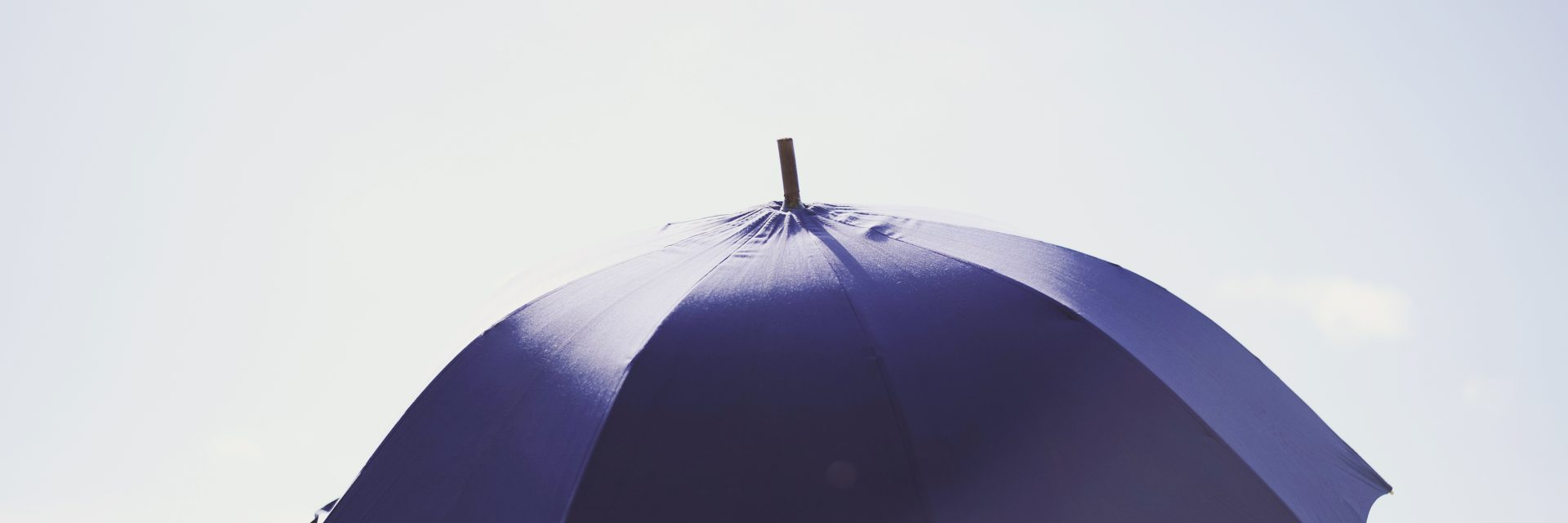 Parapluie de berger à Pau