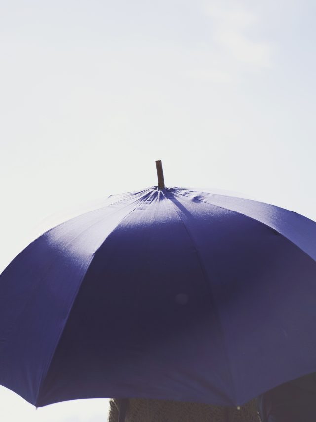 Shepherd's umbrella