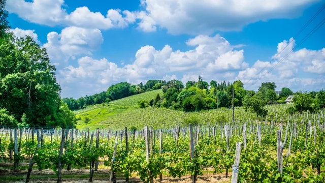 Randonnees Pau Bearn Pyrenees 02 Pau Pyrenees Tourisme La