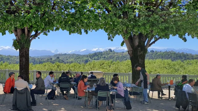 Restaurant Le poulet à trois pattes - Pau