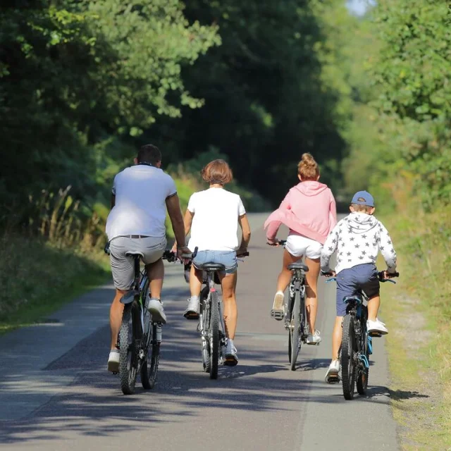 Velo Station Pau 04
