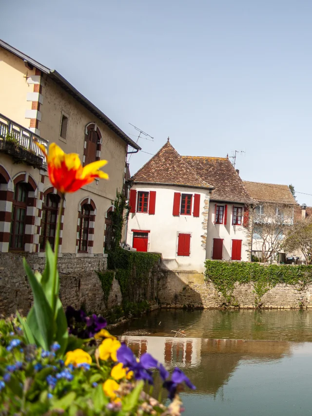 Salies-de-Béarn