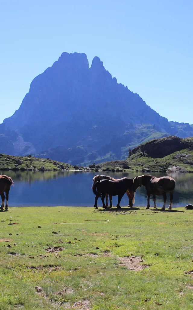Pic Dossau Y Lago Ayous Caballos Kindabreak.com 1