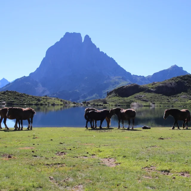 Pic du Midi d'Ossau