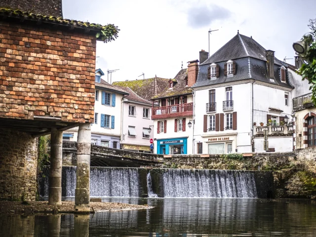 Salies-de-Béarn