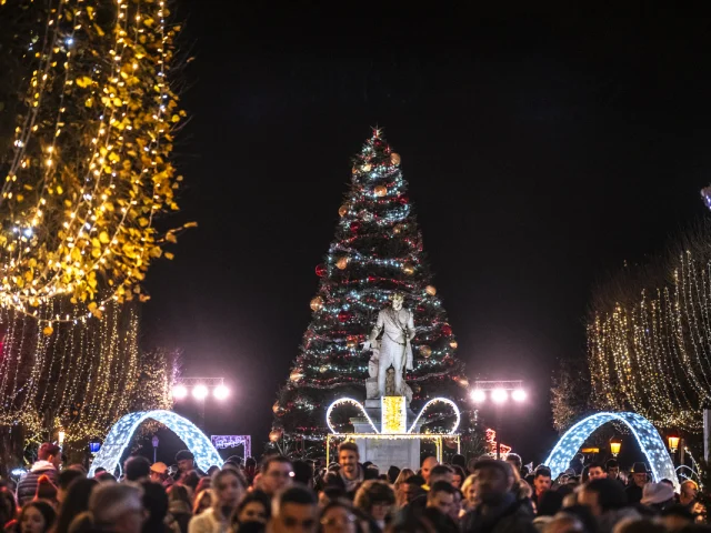 Noel A Pau Le Jardin Enchante 2024 Adrien Basse Cathalinat Ville De Pau 3