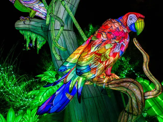 Noël à Pau - Les Féeries du Hédas