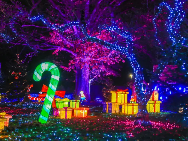 Noël à Pau - Les Féeries du Hédas