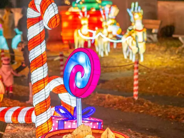 Noël à Pau - Les Féeries du Hédas