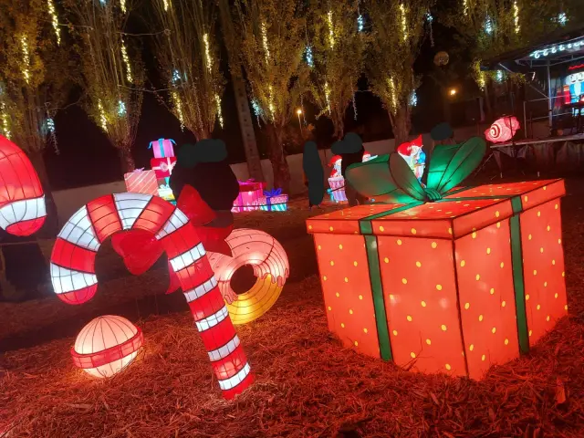 Noël à Pau - Les Féeries du Hédas