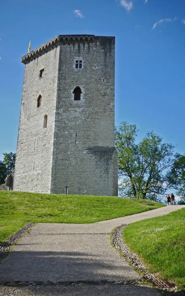 Chateau Moncade Orthez Ot Coeur De Bearn