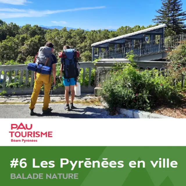 Les Pyrénées en ville - Pau