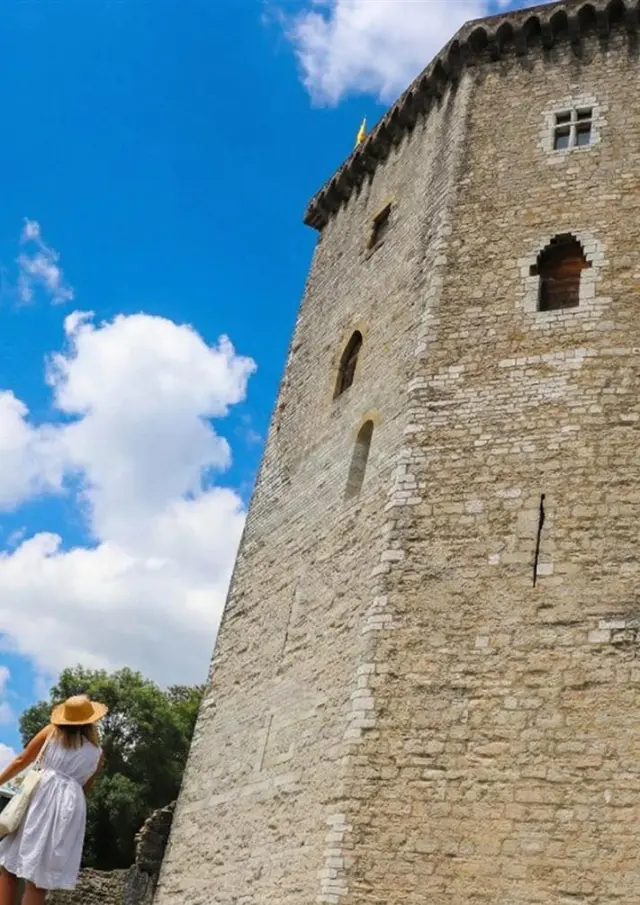 Château Moncade, Orthez, Hauteur, Ot, Coeur de Bearn
