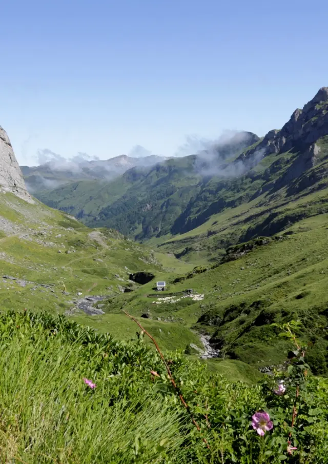 Gourette - Vallon d'Anglas